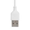 Light Mobile Power Camping Lamp LED Portable Dormitory Reading Bulb USB Cold White Energy Saving Outdoor Laptops