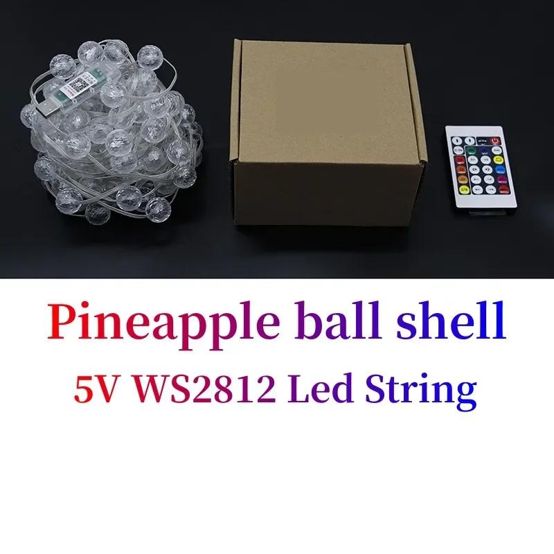 

5M/10M 5V USB LED String RGB Ws2812 Pixel Light Garland Light Waterproof Fairy Light for Christmas Wedding Party Decor Led 5M 50Leds