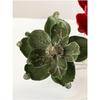 Holiday Home Decor Christmas Artificial Flower Elegant Touch Lifelike Design Light Luxury Style Realistic Magnolia Holiday Decor