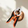 Vanadium Chromium Steel Nut Shell Opener Anti-slip Nut Clamp Walnut Cracker  Household Use