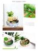 Round Glass Fish Tank: 3-in-1 Silent Filter, Oxygenator, and Waterfall Box with Ceramic Trickle Media.