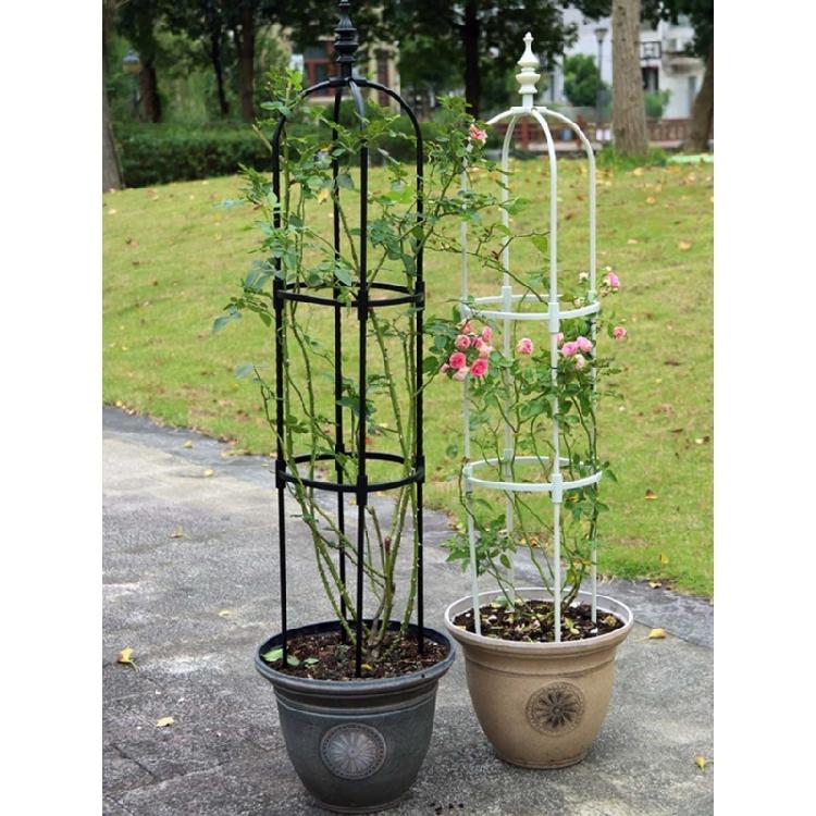 Rust-resistant Garden Stainless Steel Trellis U-Shaped Rings Garden Plant Stake