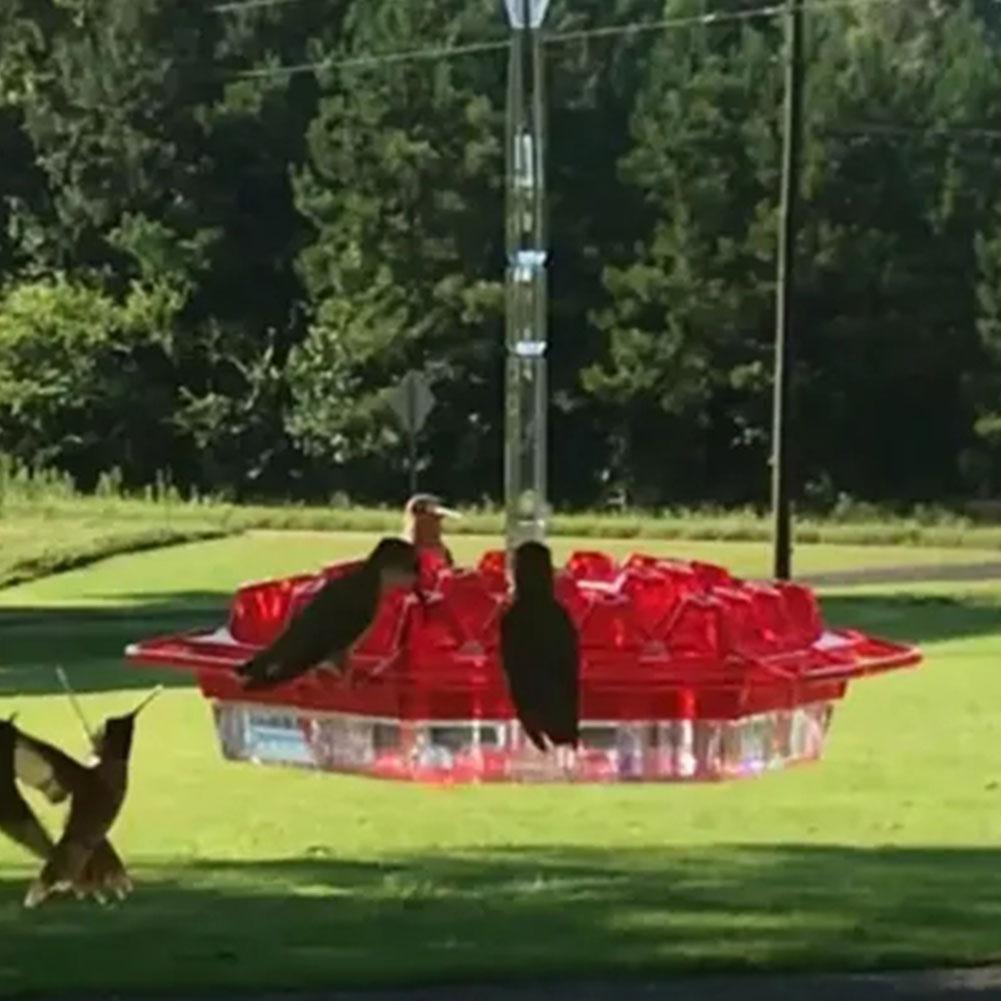 Kolibri-Futterspender für draußen zum Aufhängen mit Sitzstange und eingebautem Ameisenschutzgraben Windspiel Plastik Kolibri-Futterspender