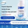 Pool Chlorine and Algaecide Treatment Solution