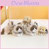 Poppen en knuffels – Dieren knuffels