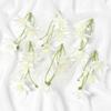5/10/20PCs 12cm Silk Artificial Flowers 3Forks Bouquet Daisy for Home Room Wedding Decorations DIY Craft Garland Accessories