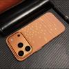 Junwen Starlight Magnetic Phone Case