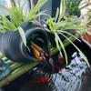 Eco-Friendly Ceramic Fish Tank Water Feature & Garden Ornament Filter