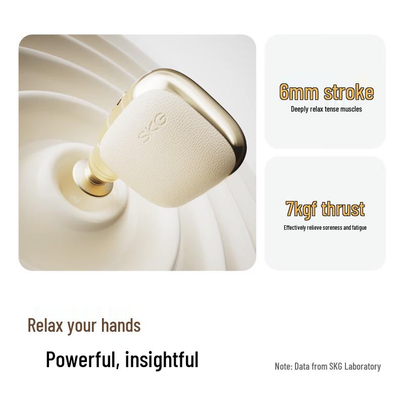 SKG F3 Mini Portable Muscle Massager CN plug (adapter included)