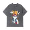 275 GSM Washed T-shirts 100% Cotton Pokemon V2 Ash Print Unisex Heavy Cotton T Shirt