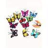 10 Pcs Butterfly Thumbnails, Decorative Thumbnails, Butterfly Thumbnails, Photo Wall Cork Colored Cute Thumbnails Back To School