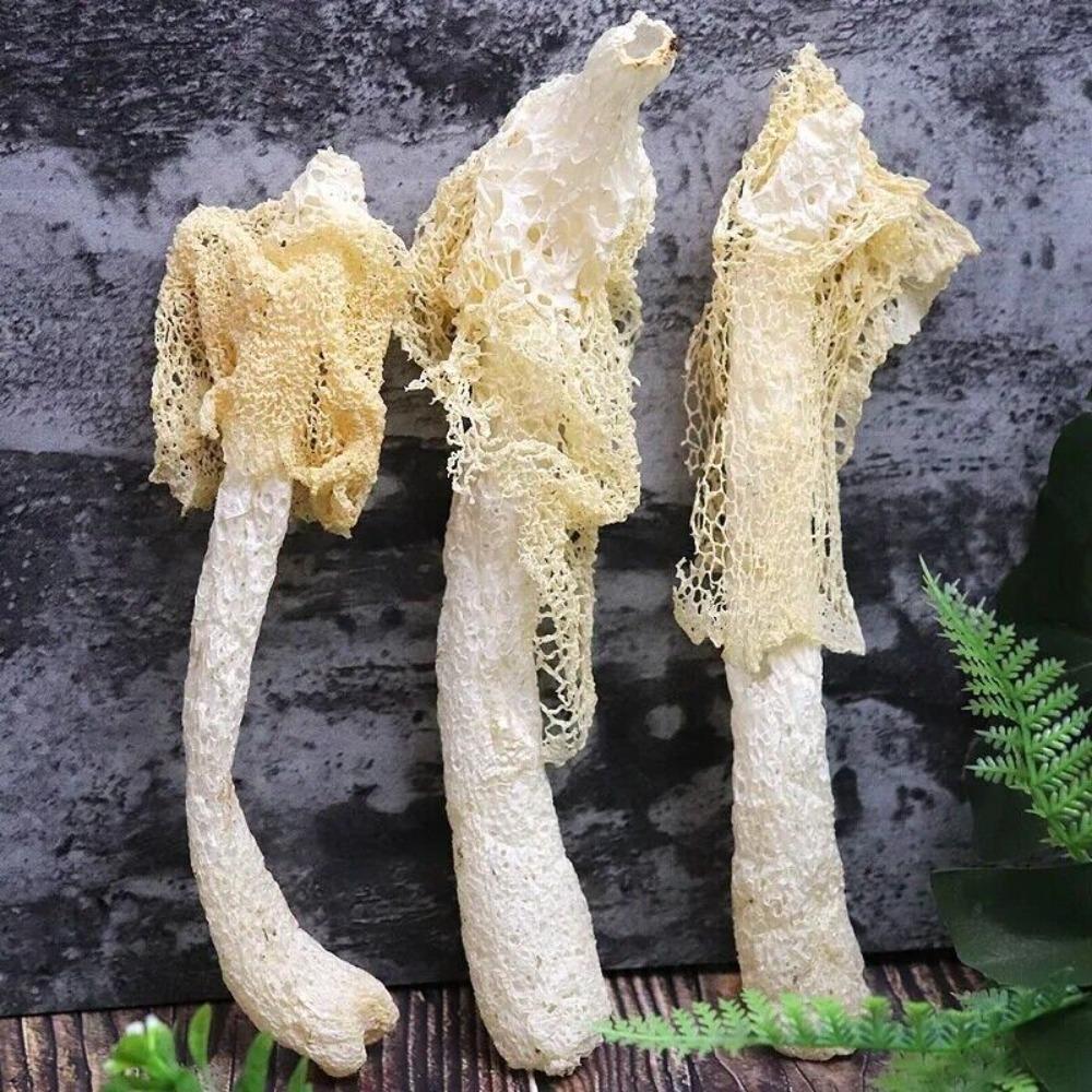 Bamboo Fungus Phallus Indusiatus Stinkhorn Mushroom Herbal Tea Loose Leaf Organic Chinese Green Food for Men Women