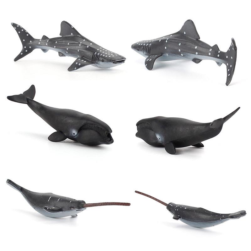Realistic Marine Animal Models With Static Display For Aquarium Decoration And Educational Purposes