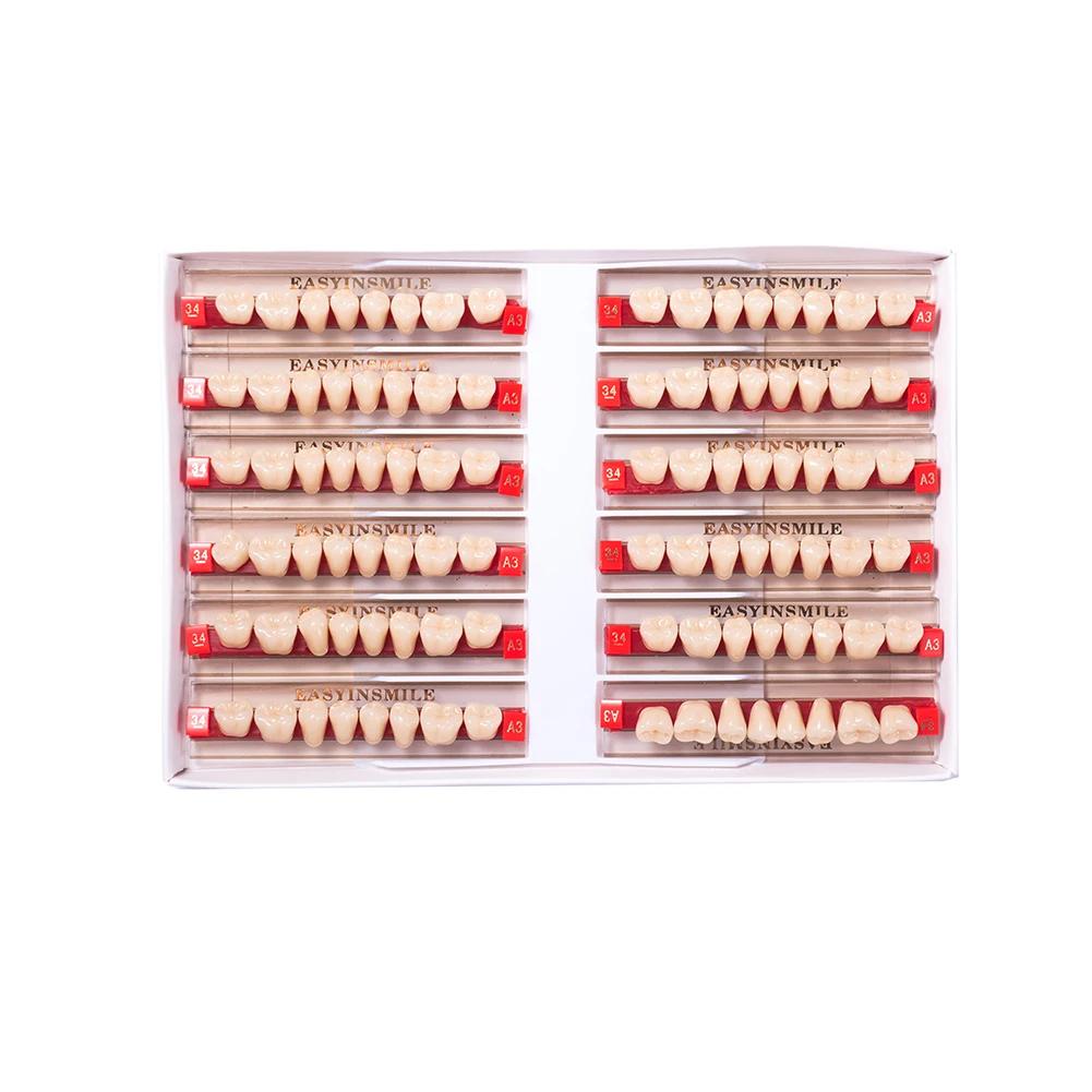 16/12 Sätze/Karton Zahnprothese Zähne Oberkiefer Frontzähne Unterkiefer Seitenzähne Dentier Synthetisches Polymerzähne Zahnmedizinische Ausbildungsmodell