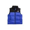 1996 Retro Nuptse Gilet NF0A3JQQ-QBO