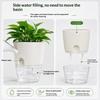 Hydroponic Self-Watering Transparent Flower Pot 1Pcs Lazy Plant Pot for Dorm Desktop Green Plant Decoration