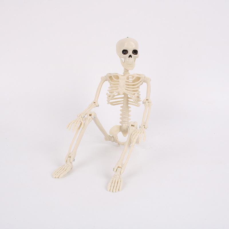 Halloween 60cm Human Skeleton Decoration for Haunted House Festival Props