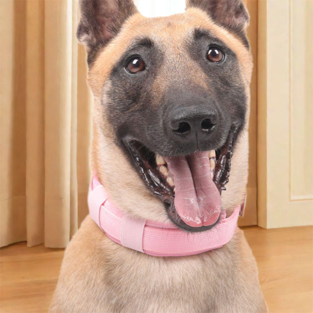Practical Adjustable Dog Training Collar Breathable Heavy Duty Dog Rivet Collar Metal Buckle Dog Neck Collar German Shepherd