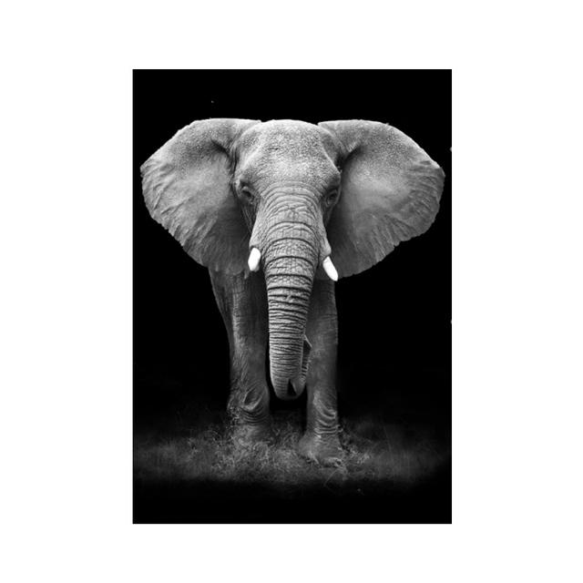Modern Canvas Painting Black White Animal Posters and Prints Lion Elephant Deer Zebra Wall Pictures for Living Room Home Decor No Frame