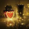 Silver Wire LED String Light Battery Powered Warm White Fairy Light Home Christmas Wedding Party Decoration