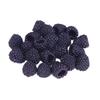 Raspberry Fruit Food Artificial Interior Decoration Models, 20-Pack, Samples, Flowers, Display, (Black EX)