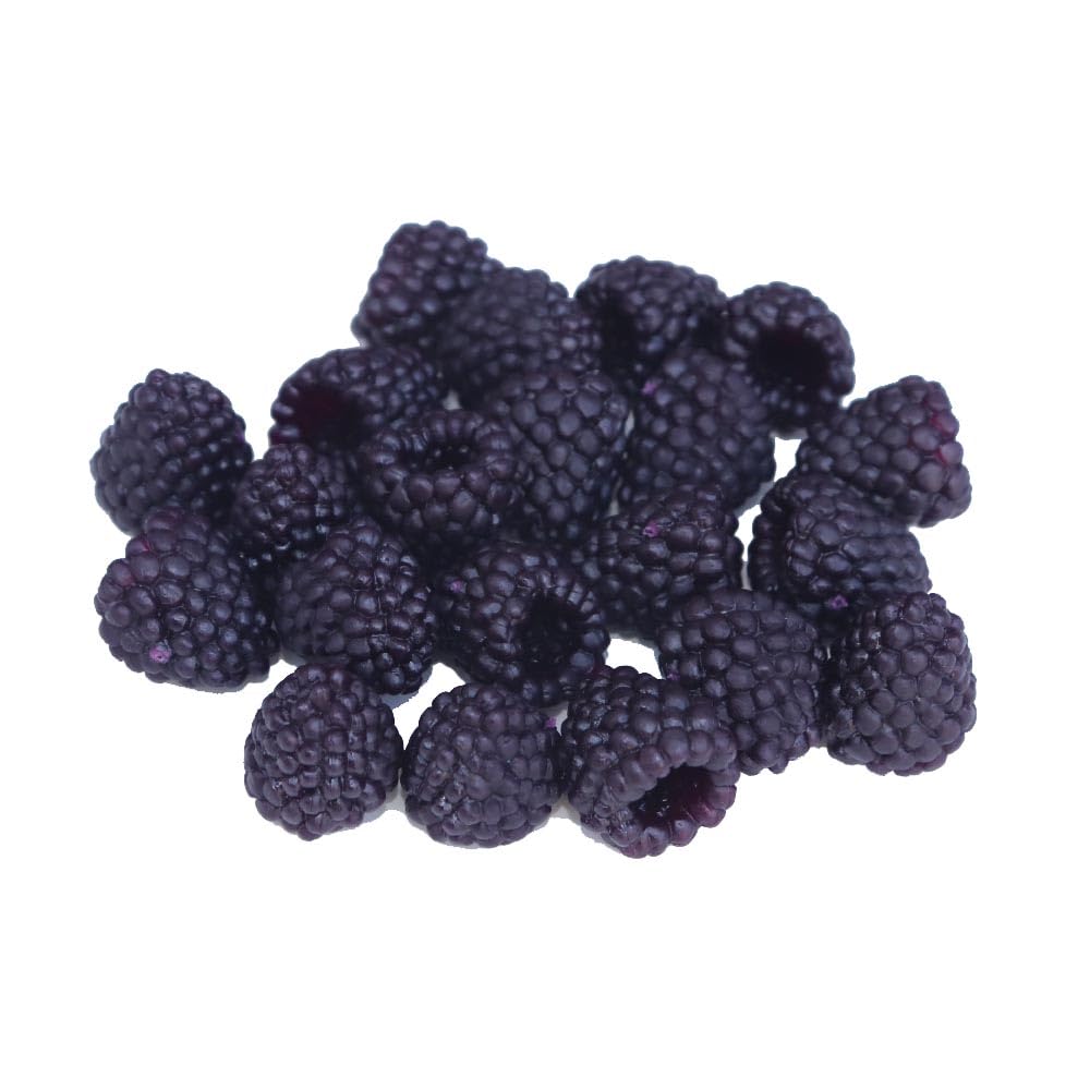 

Raspberry Fruit Food Artificial Interior Decoration Models, 20-Pack, Samples, Flowers, Display, (Black EX)