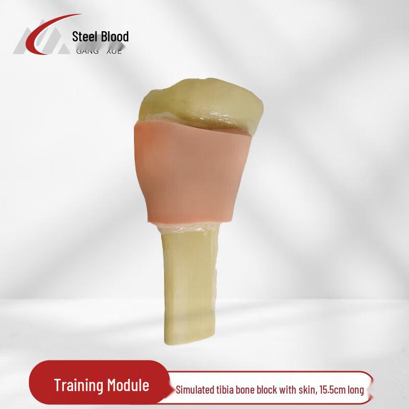 Bone Marrow Aspiration & Infusion Training Kits & Accessories