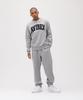 AVIREX CREW NECK L/S SWEAT LOGO 783-3932003 Men's L 382 Oxford