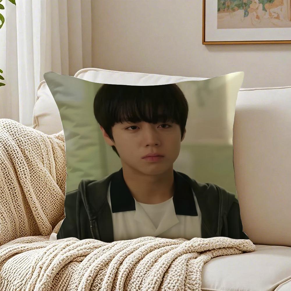 Webtoon Gritty 1 WWeak HHero Class 1 Cushion Cover Pillowcase Antidustmite living Room Sofa Decor Cushion Room