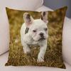 Home Decor Cute Pet Mini French Bulldog Pillowcase Sofa Car Decoration Animal Dog Cushion Cover Printed