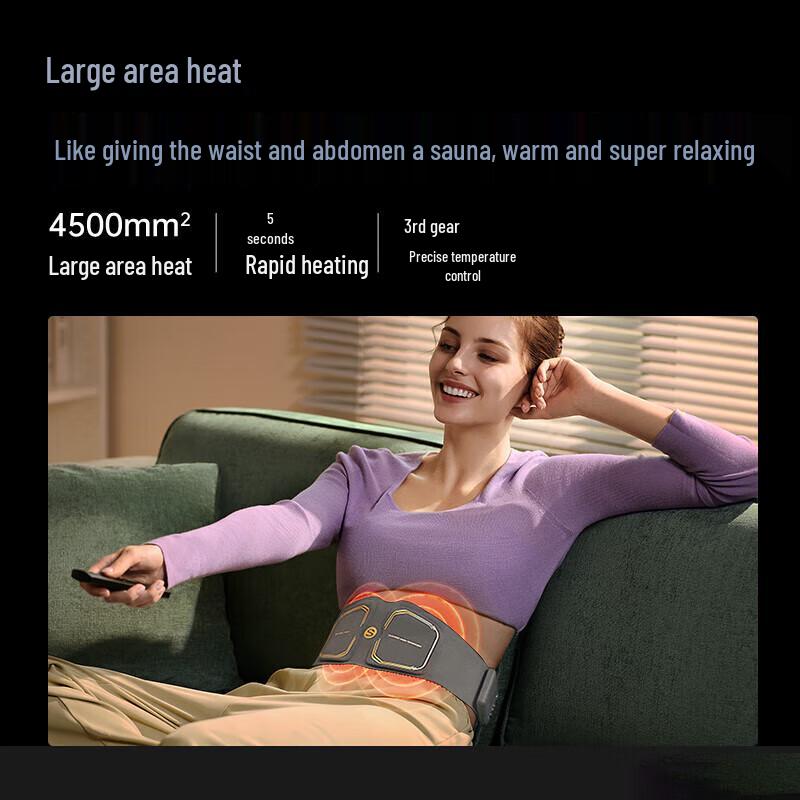 Xiaomi SKG Waist Massager