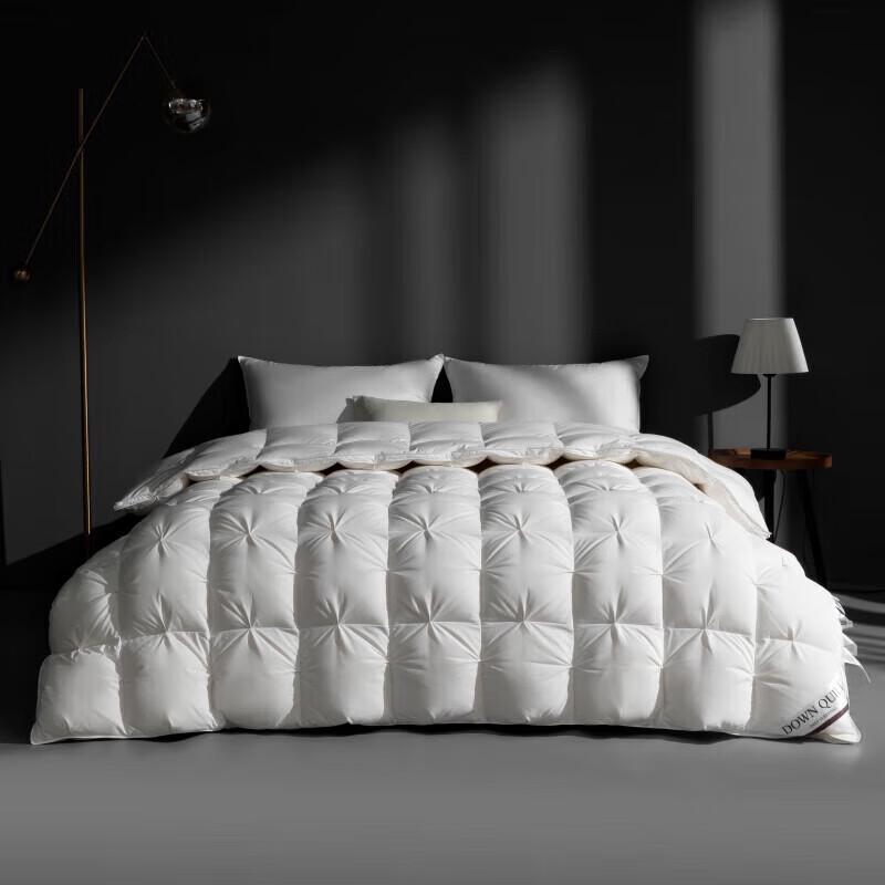 

Ally Lightweight Goose Down Quilt