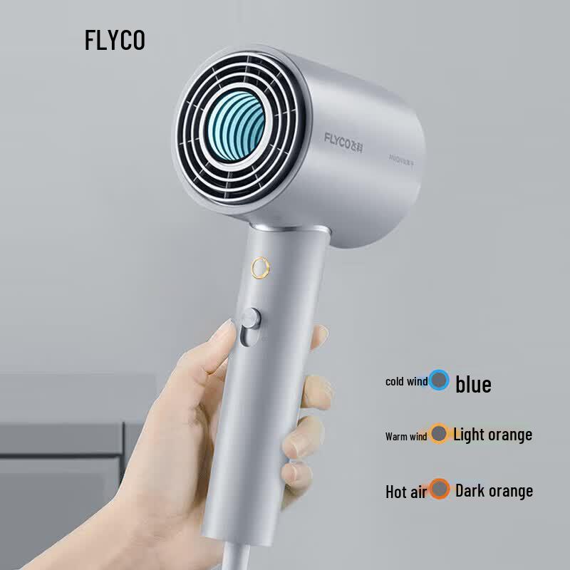 FLYCO FH6312 High-Speed Negative Ion Hair Dryer CN plug (adapter included)