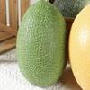 Food Model Fake Cantaloupe Melon Plastic Simulation Fruit Artificial Cantaloupe Melon  Home Decor