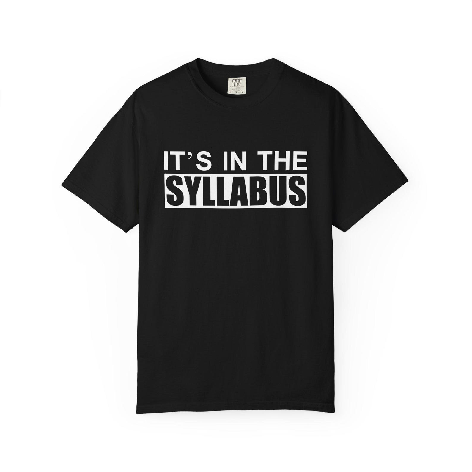 Its in the Syllabus T-Shirt Funny Teacher Shirt, Professor Shirt, Faculty Gift S
