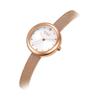 Pocheleidi Women'S Macaron Watch Changeable Band Fm2013Wrg Free Leather Band