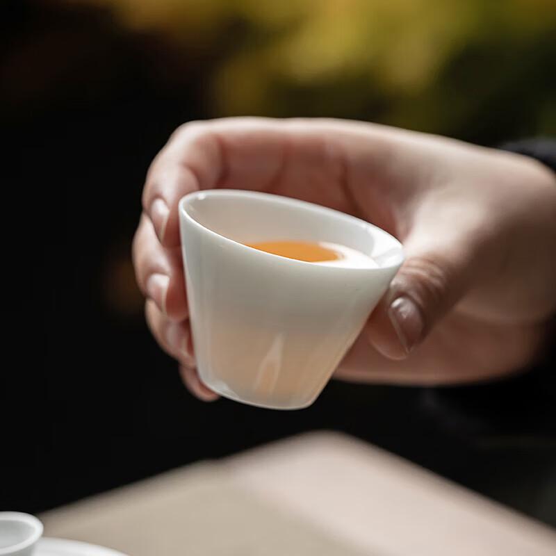 Changshengyuan Portable Kung Fu Tea Set
