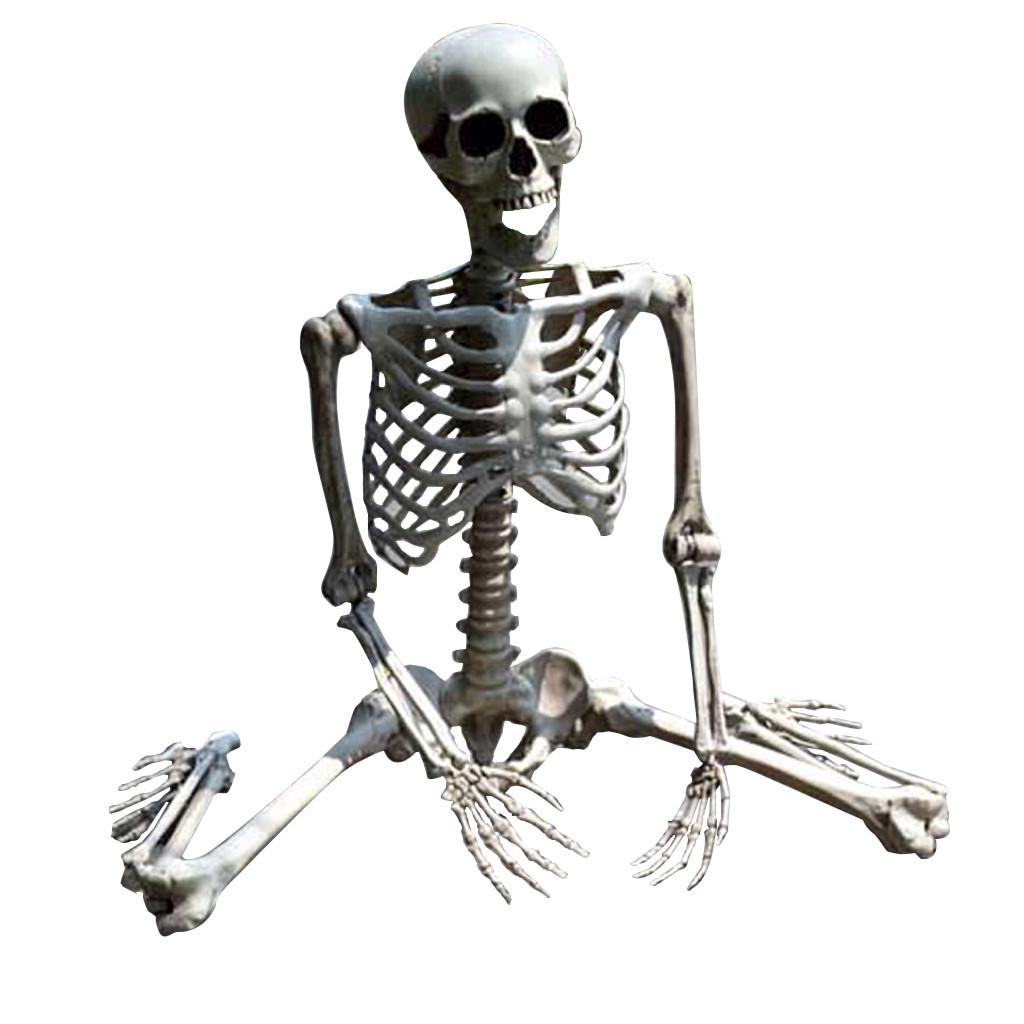 Halloween Skeleton Prop Human Full Size  Hand Life Body Anatomy Model Decor