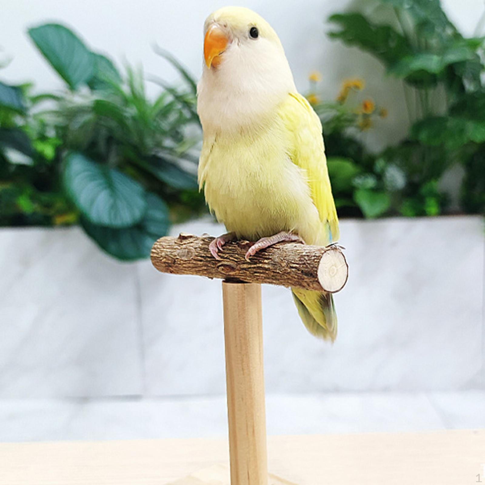 

Плоская жердочка для птиц, игрушка для попугаев, приспособление для шлифовки лап, аксессуары для клеток, игровая площадка для птиц S