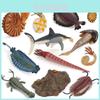 Anomalocaris Deep Sea Marine Animal Pvc Model Realistic Design For Aquarium Decor