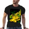 St Johns Wort Tshirt Unisex Tshirt Anime T Shirts Shirts Unisex Graphic