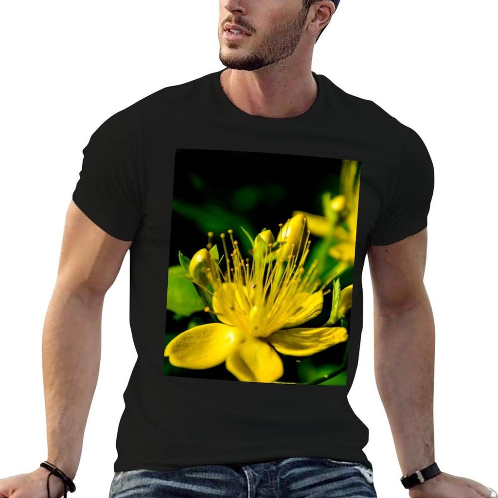 St Johns Wort Tshirt Unisex Tshirt Anime T Shirts Shirts Unisex Graphic