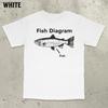 Fish Diagram Meme Shirt Stupid Meme T-Shirt Funny Meme Brain Rot Inappropriate Funny Gag Gift Gen Z Men Clothing