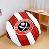 Sheffield United, automatic folding umbrella, portable and foldable design, 8 ribs, a Christmas or birthday gift.