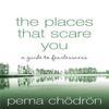 Places That Scare You A Guide To Fearlessness Paperback # IND-2362 2%