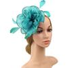 DRESHOW Fascinators Hat Tea Party Headwear Ribbons Feathers On a Headband and a Clip for Women