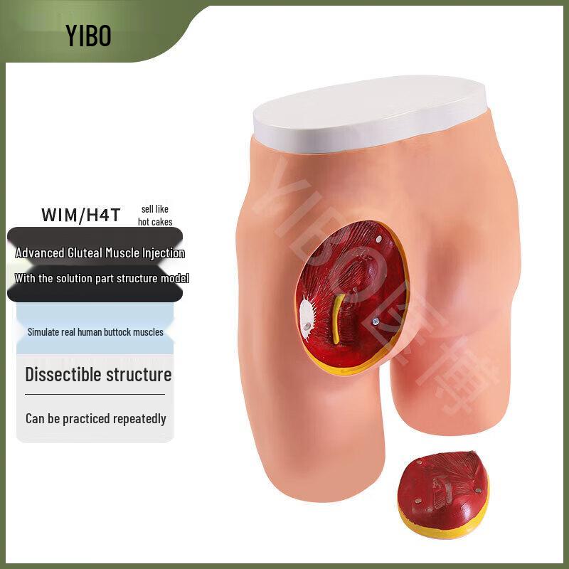 Advanced Gluteal Injection Training & Anatomy Model