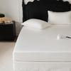 60S Tencel Bed Skirt Cover Single Piece Lightweight Luxury Cool Touch Mattress Protector