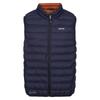 Regatta Mens Marizion Quilted Gilet