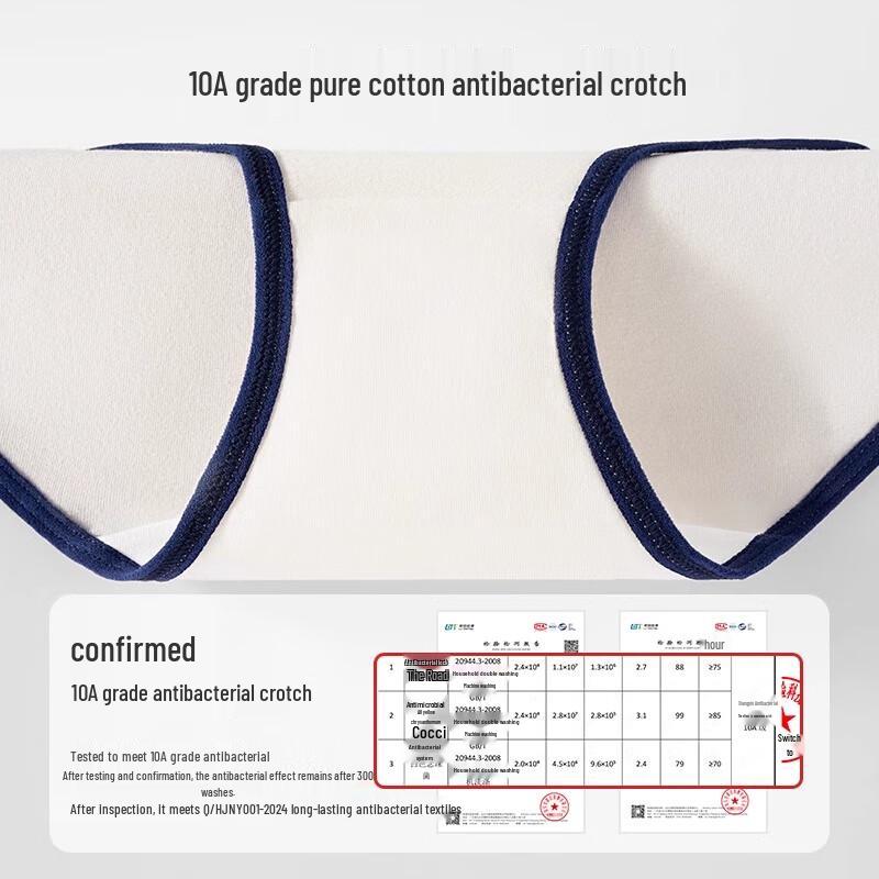 Regina Miracles Women's Sporty Bear Cotton Briefs